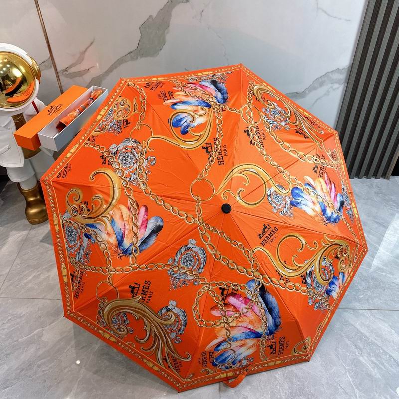 Hermes Umbrella (25)